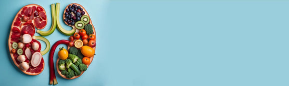 <h4>Renal Nutrition</h4>